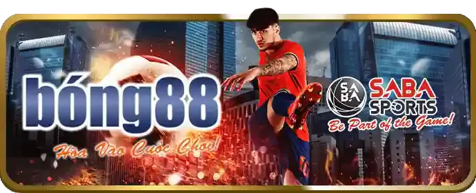 Cài đặt hồ sơ cấu hình ST666