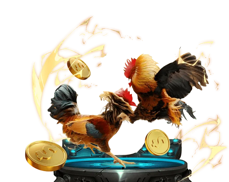 Hỗ trợ khách hàng st666 24/7